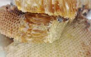 Замороженный мед — что будет если заморозить мед