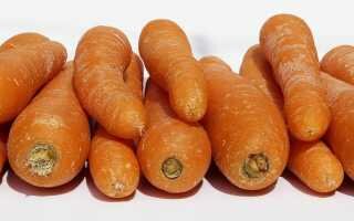 Можно ли хранить морковь в вакуумных пакетах — правила, проблемы и советы специалистов