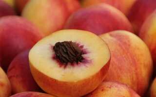 Как подольше сохранить свежие персики в домашних условиях