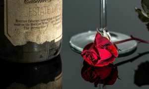Сроки годности разных видов вина в закрытых бутылках и домашнего