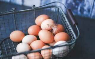 Нужно ли мыть яйца перед хранением в холодильнике: советы специалистов