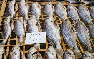 5 способов сохранить вяленую рыбу в домашних условиях надолго