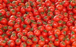 Проверенные рецепты заморозки свежих томатов на зиму — все возможные способы