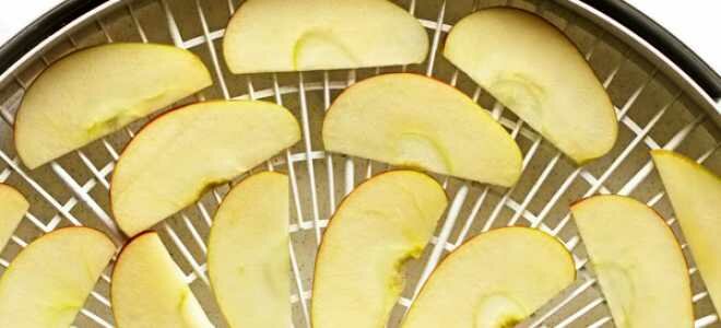 Условия и особенности сушки яблок в электросушилке для овощей