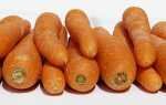 Можно ли хранить морковь в вакуумных пакетах – правила, проблемы и советы специалистов