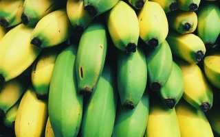 Как сохранить бананы в домашних условиях свежими и почему бананы нельзя хранить в холодильнике