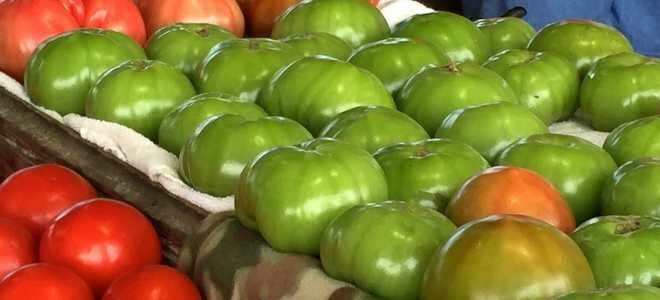 Правильное хранении зеленых помидор, чтобы быстрее покраснели и не потеряли вкуса и вида
