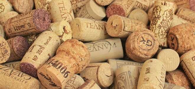 Сроки годности разных видов вина в закрытых бутылках и домашнего