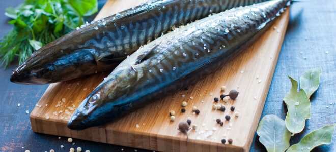 Как надолго сохранить соленую рыбу в домашних условиях?