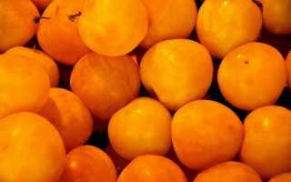 Вкусные рецепты и правила заморозки абрикос на зиму