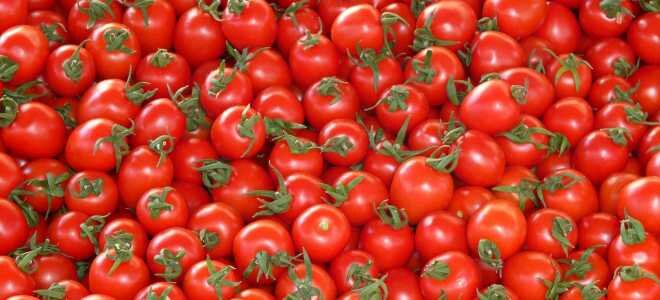Проверенные рецепты заморозки свежих томатов на зиму