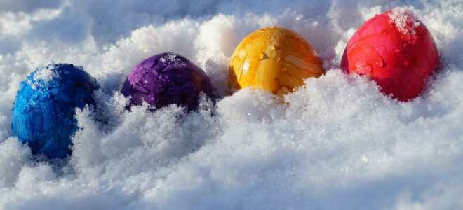 Можно ли замораживать яйца и есть замороженные яйца