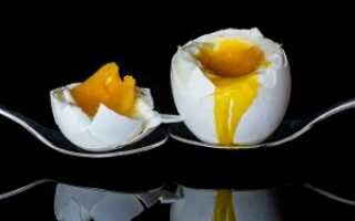 Срок годности вареных яиц, как и где хранить яйца