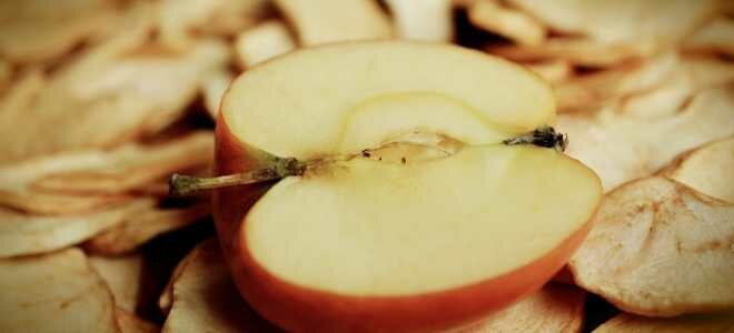 Правила и преимущества способа сушки яблок в аэрогриле