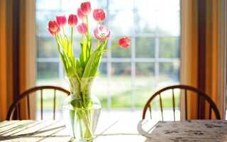 Правила и секреты долгого хранения букета тюльпанов