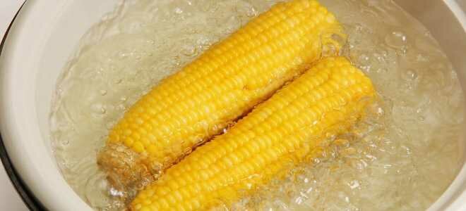 Сроки и правила хранения вареной кукурузы