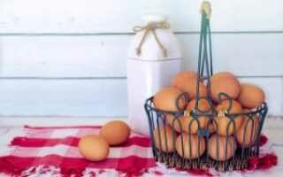 Как сохранить яйца без холодильника