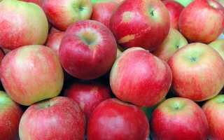 6 рецептов для хранения яблок в морозилке