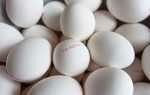 Правильные условия хранения яиц, как и где хранить яйца чтобы увеличить скок годности на длительное время