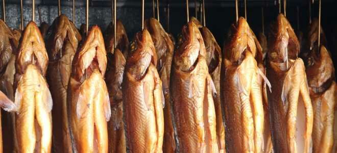 Правила и сроки хранения копченой рыбы в домашних условиях