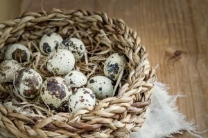 как хранить перепелиные яйца для еды