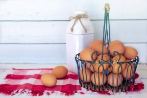 Способы хранения яиц