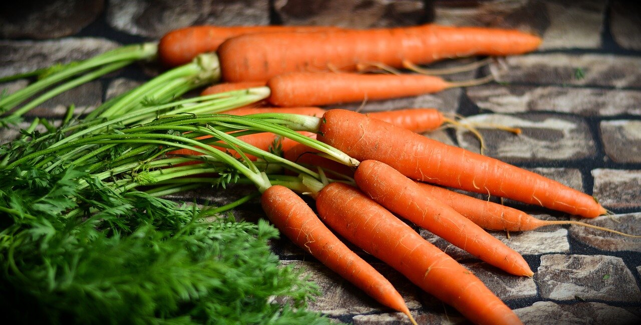 Особенности и преимущества хранения морковки в полиэтиленовых пакетах в погребе
