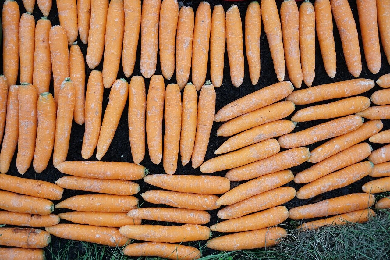 Зачем моют морковь перед длительным хранением