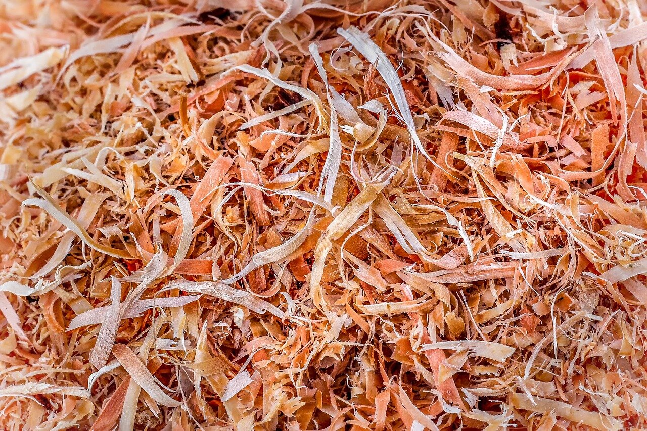 Преимущества и тонкости хранения морковки в опилках