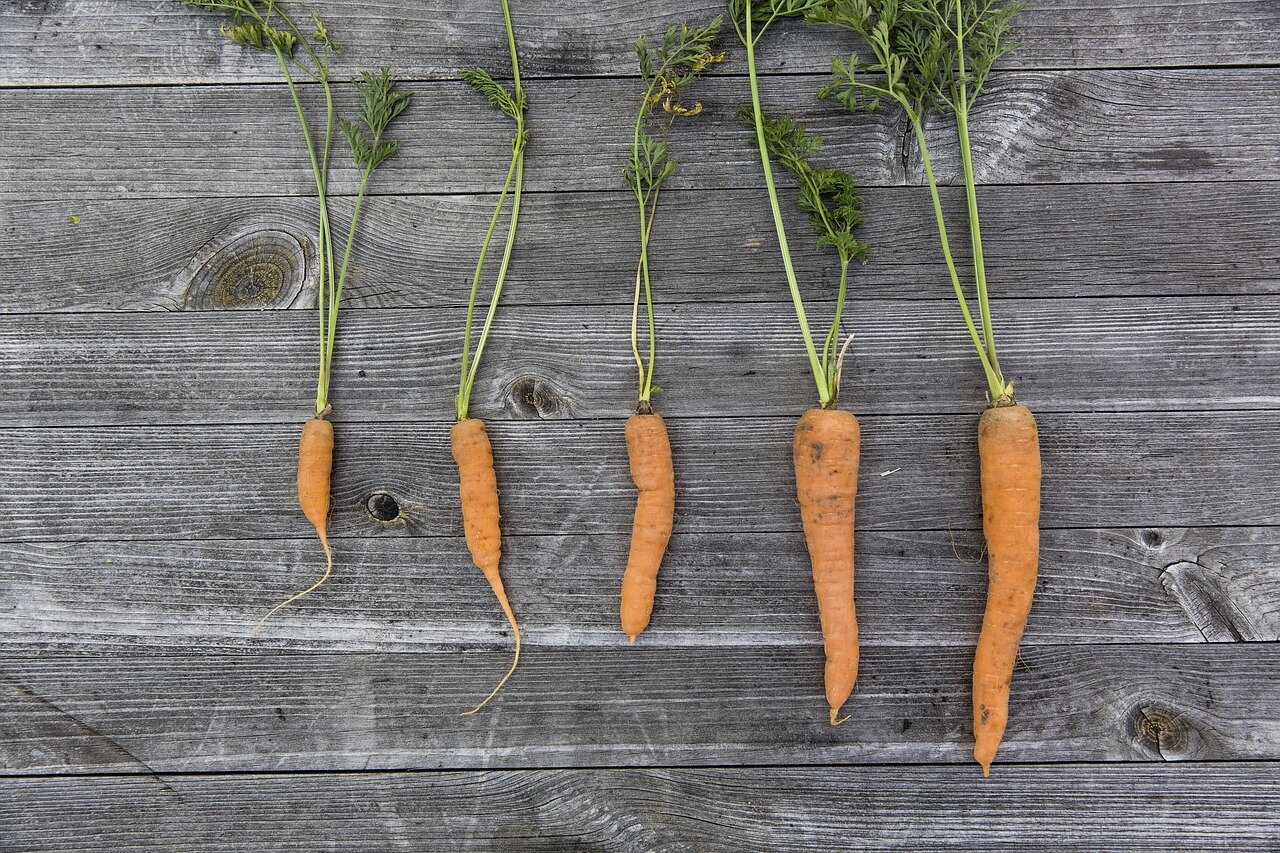 Хранение морковки в подвале