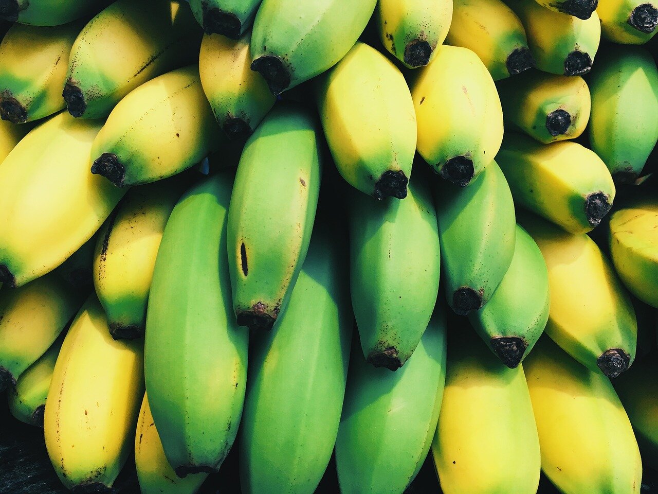 Как сохранить бананы в домашних условиях свежими и почему бананы нельзя хранить в холодильнике