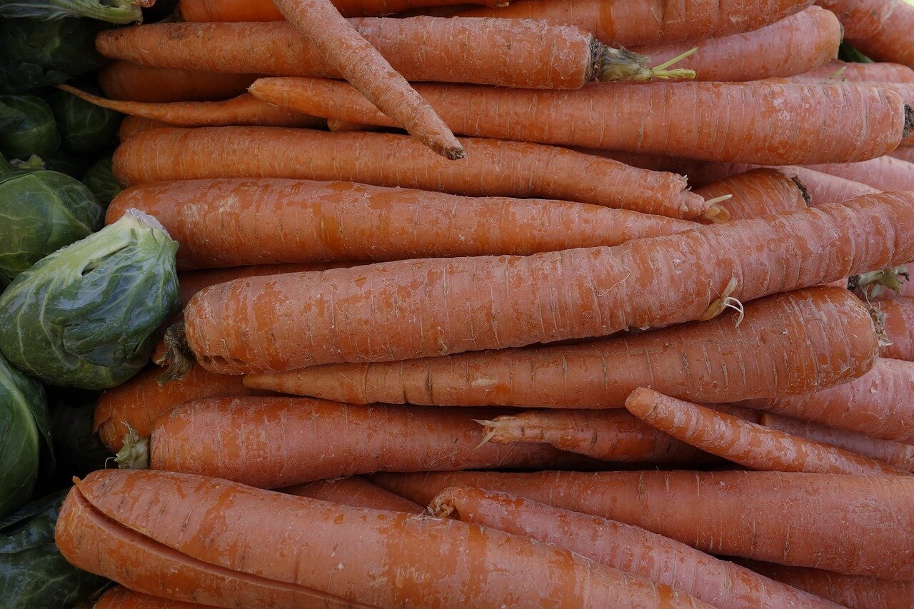 Нужно ли обрезать ботву у моркови для зимнего хранения в погребе