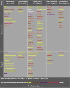 Таблица хранения разных сортов лука