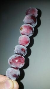 Мороженные виноградинки на палочке