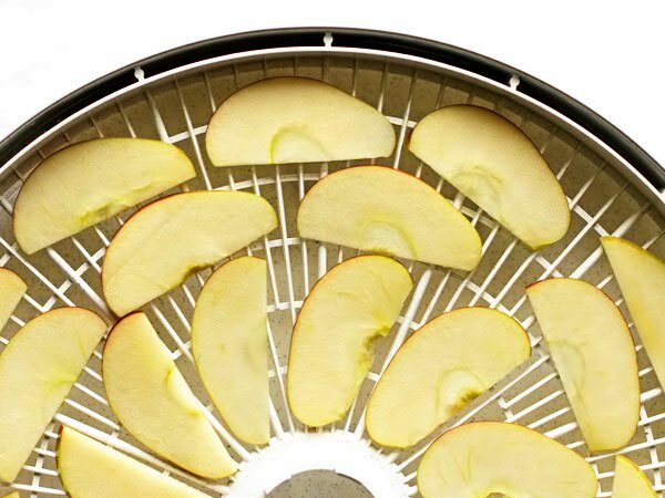 Условия и особенности сушки яблок в электросушилке для овощей