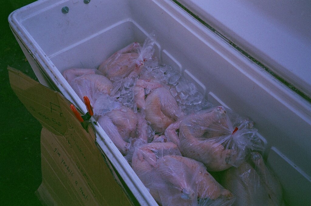Замороженная курица срок. Замороженная курица в морозилке. Заморозка куры.