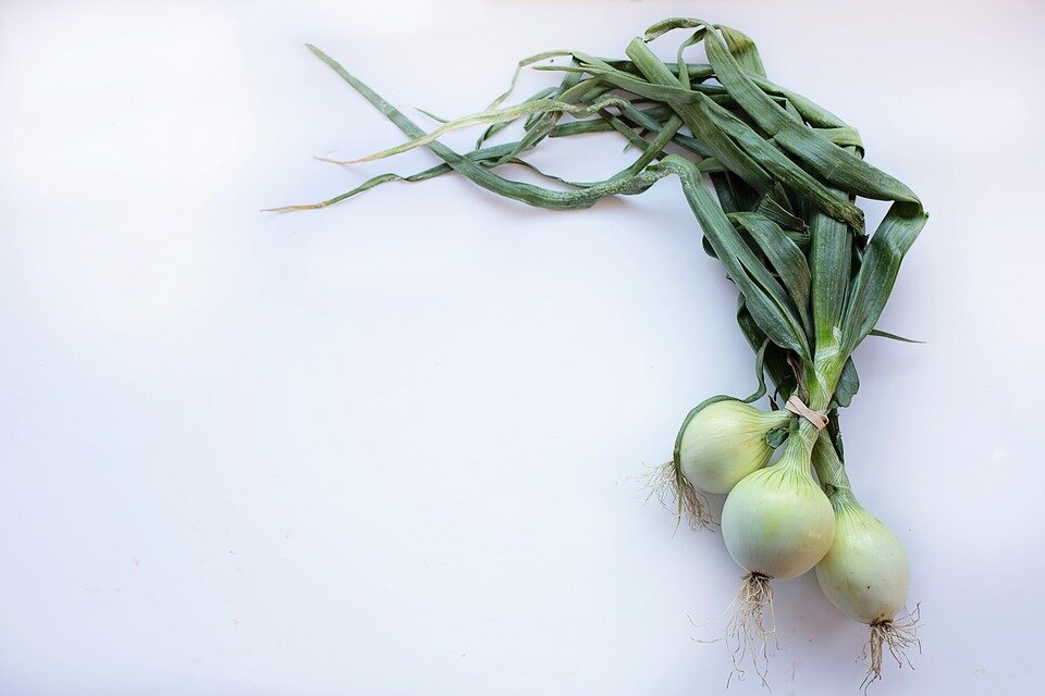 Можно ли сушить зеленый лук на зиму в домашних условиях?