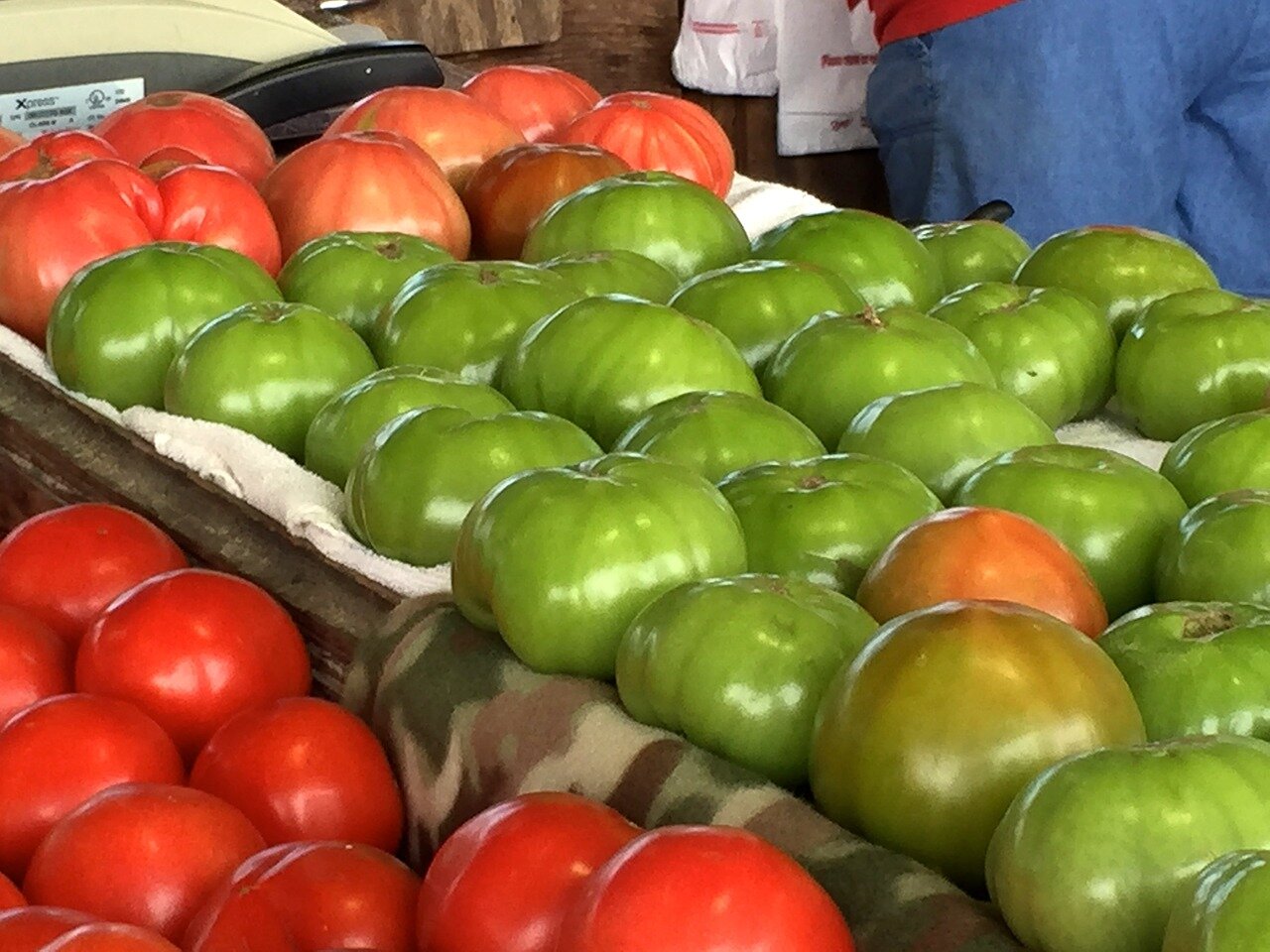 Правильное хранении зеленых помидор, чтобы быстрее покраснели и не потеряли вкуса и вида