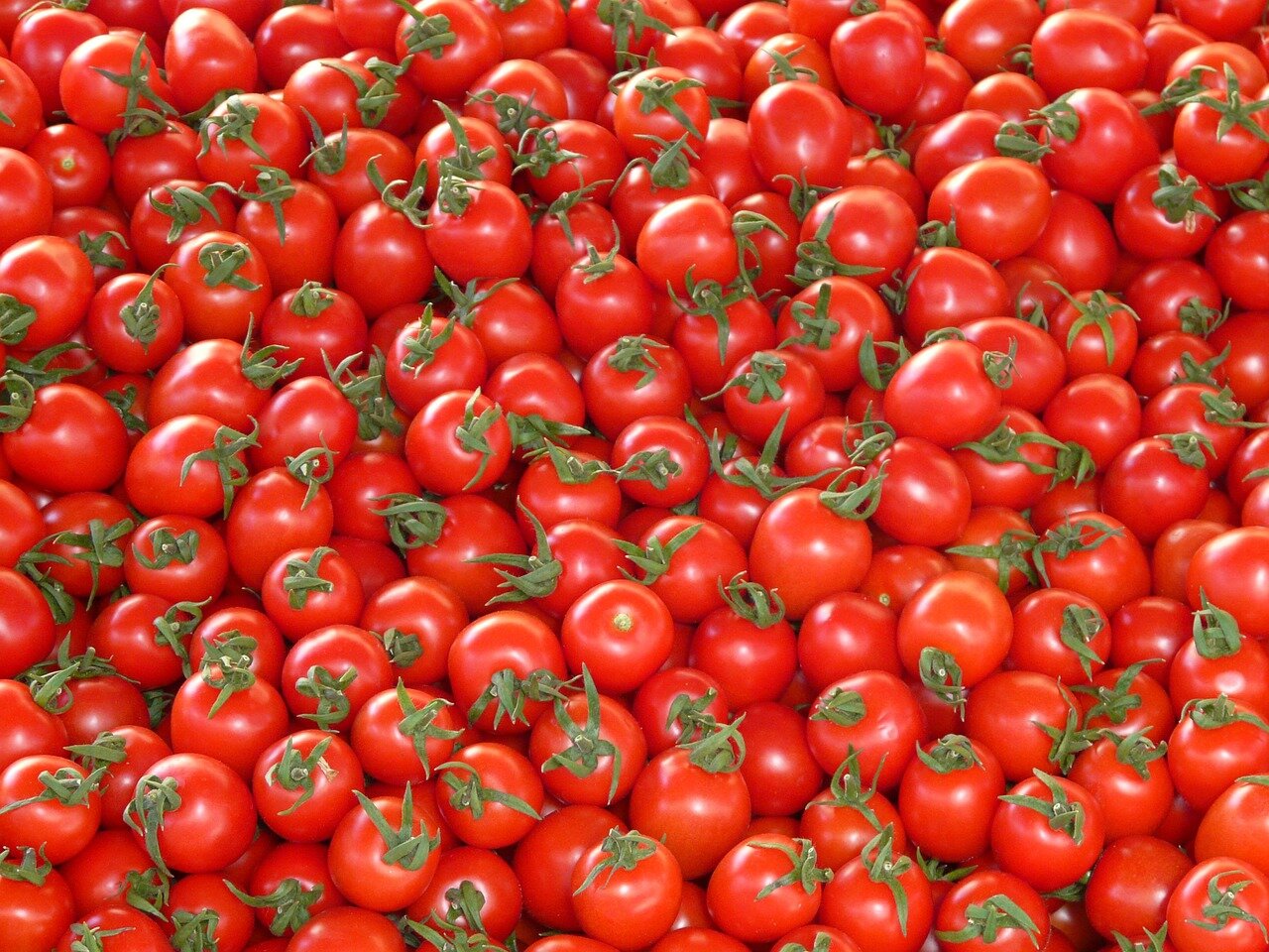Проверенные рецепты заморозки свежих томатов на зиму