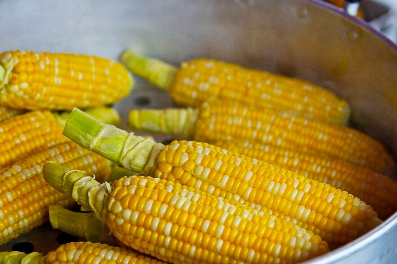 Как правильно хранить свежие початки кукурузы в домашних условиях